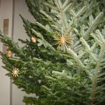 Christbaum-Krippe-Aufbau MaHi